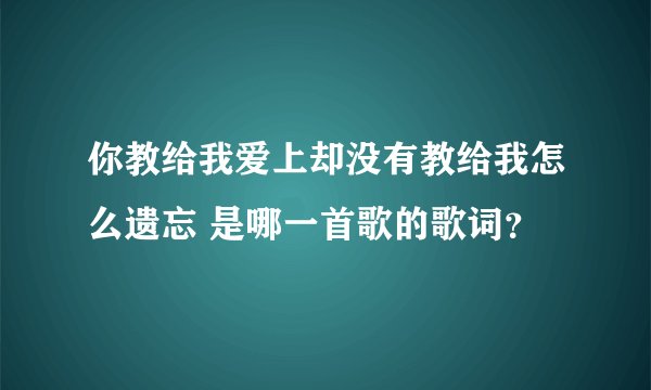 你教给我爱上却没有教给我怎么遗忘 是哪一首歌的歌词？