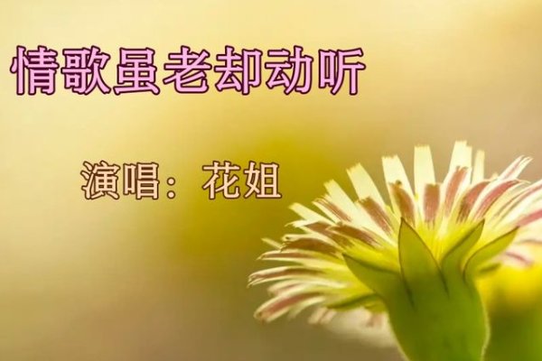 情歌虽老却动听原唱