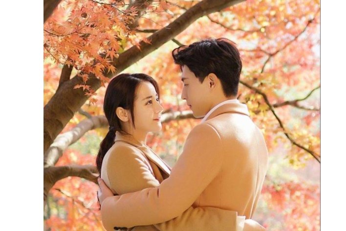 深情不如久伴厚爱无需多言是什么意思