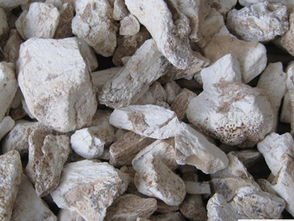 三名男子盗挖土龙骨被埋身亡,土龙骨到底是一种什么东西?