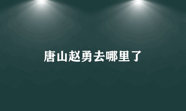 唐山赵勇去哪里了