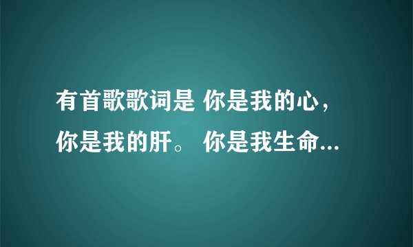 有首歌歌词是 你是我的心，你是我的肝。 你是我生命的四分之三~ 那首歌叫什么