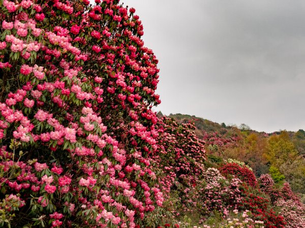 贵州贵阳旅游十大景点排名