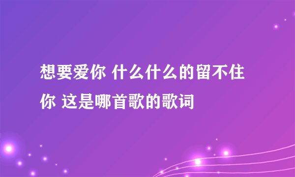 想要爱你 什么什么的留不住你 这是哪首歌的歌词