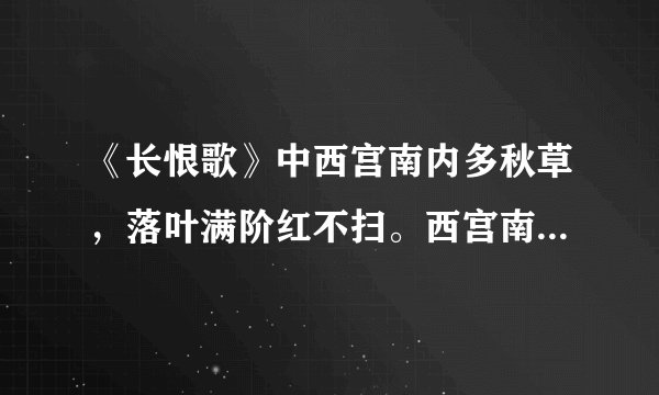 《长恨歌》中西宫南内多秋草，落叶满阶红不扫。西宫南内指的什么？