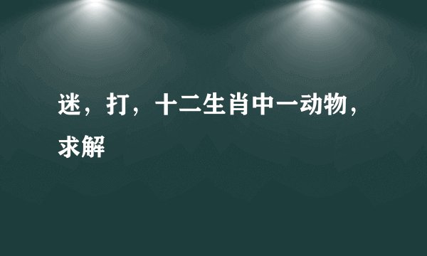 迷，打，十二生肖中一动物，求解