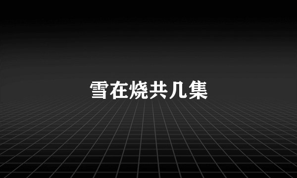雪在烧共几集