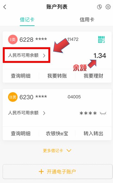 农行95599手机查余额