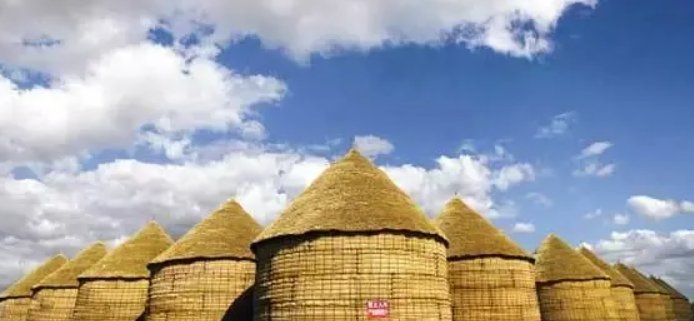 我国十大粮仓排名