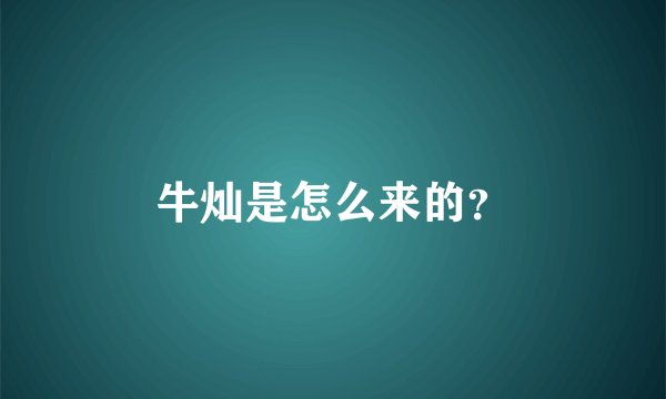 牛灿是怎么来的？