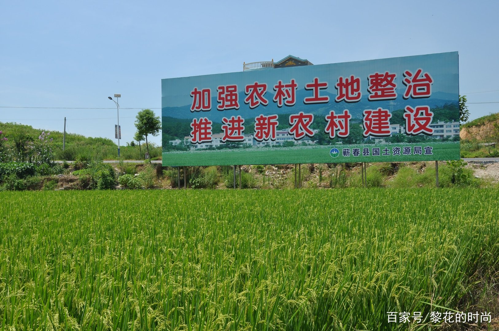 2022耕地保护要求，八不准、六严禁、五不得分别指什么？