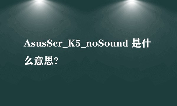 AsusScr_K5_noSound 是什么意思?
