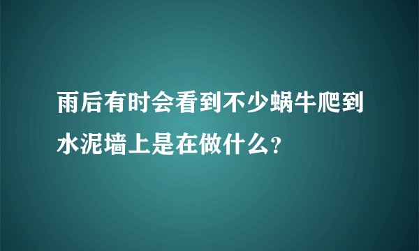 雨后有时会看到不少蜗牛爬到水泥墙上是在做什么？