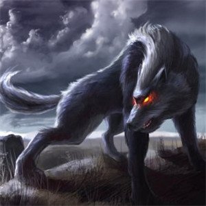 哈尔滨5旬男子为救爱犬持石块大战群狼，狼的杀伤力有多大？