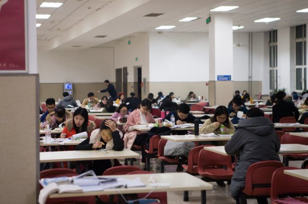 天下大美什么生肖