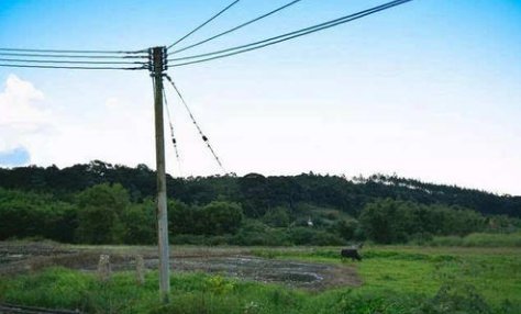 珍珠港（打一中国地名）