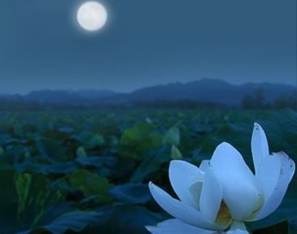 朱自清的《荷塘月色》写的是哪所大学