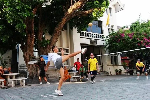 藤球是什么材料做的?