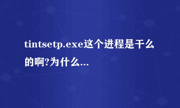 tintsetp.exe这个进程是干么的啊?为什么在msconfig里有两个啊