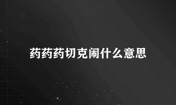 药药药切克闹什么意思
