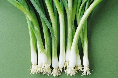 大葱价格腰斩，但有一小撮种植户收入没受影响，是怎么回事？