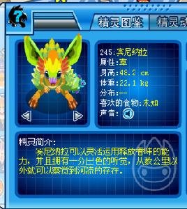 宾尼纳拉的实战技巧