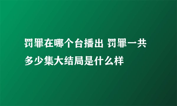 罚罪在哪个台播出 罚罪一共多少集大结局是什么样