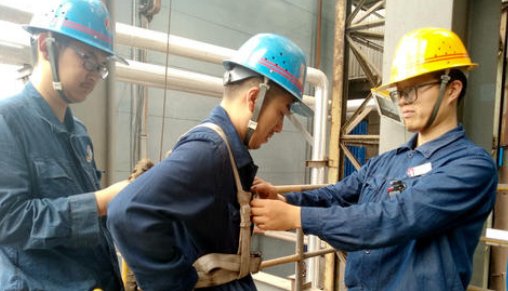 如何下载安全员C证电子证书