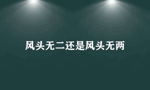 风头无二还是风头无两
