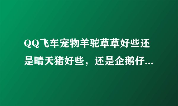 QQ飞车宠物羊驼草草好些还是晴天猪好些，还是企鹅仔仔好些？