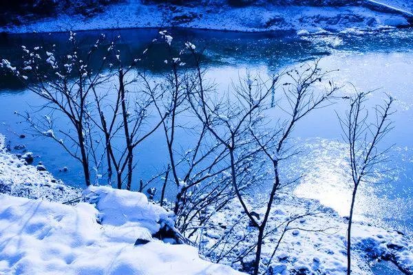 冬月是什么意思啊