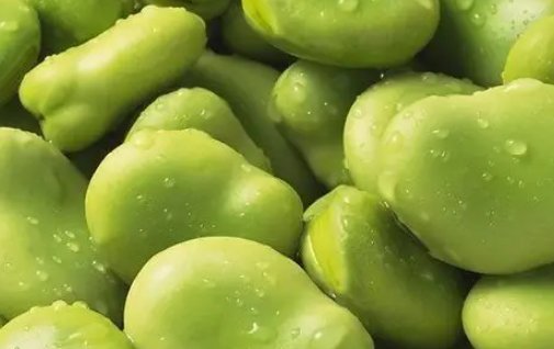 河南蚕豆之乡指的是