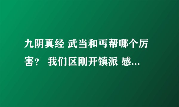 九阴真经 武当和丐帮哪个厉害？ 我们区刚开镇派 感觉武当好无力！