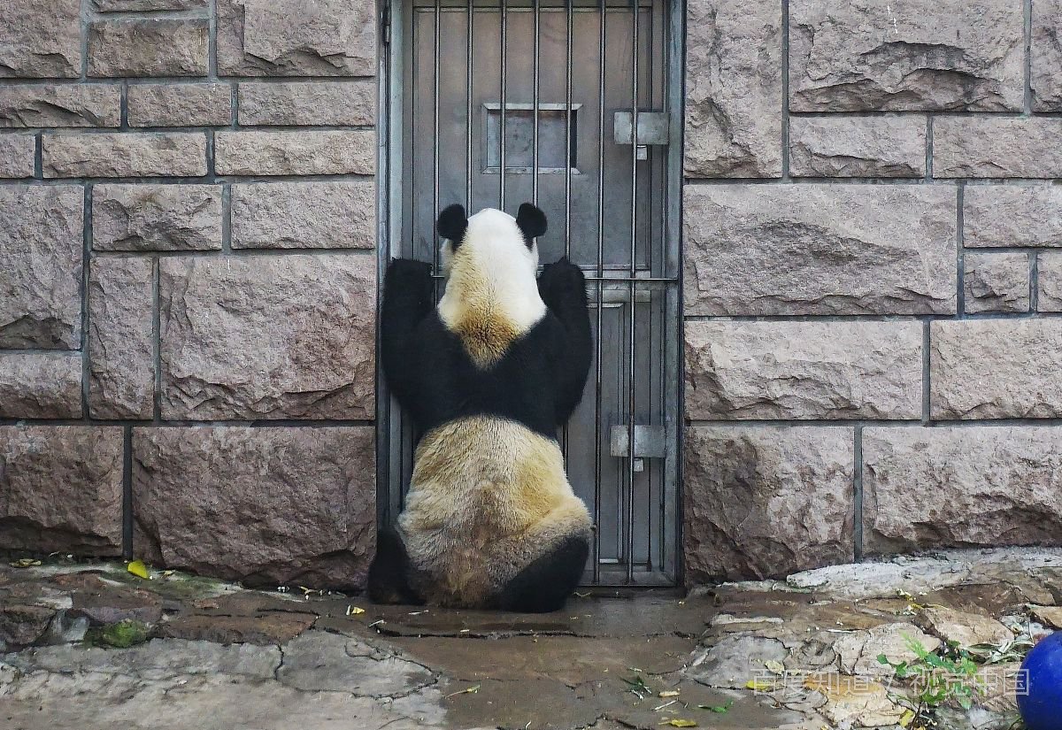 男生说你乖的意思是什么