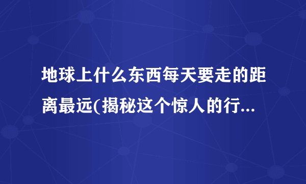 地球上什么东西每天要走的距离最远(揭秘这个惊人的行走者是谁？)