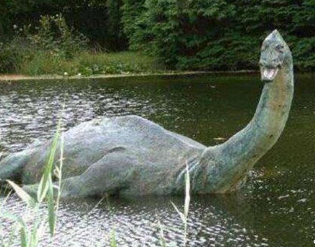 刚果恐龙是真的吗？