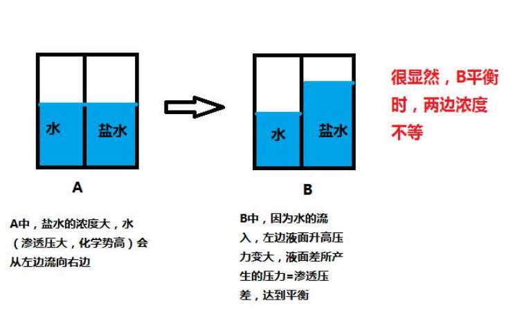 渗透压浓度的公式是什么
