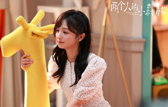 两个人的小森林几点更新