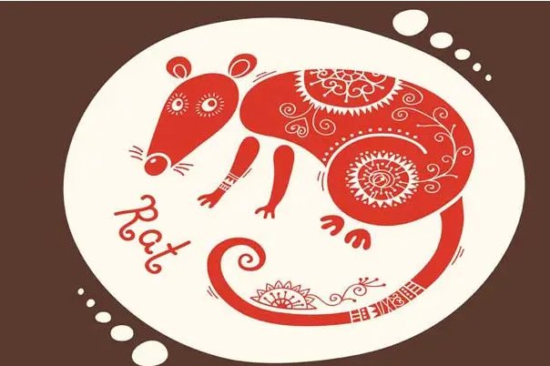 人人喊打打一动物生肖