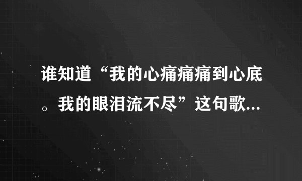 谁知道“我的心痛痛痛到心底。我的眼泪流不尽”这句歌词叫什么歌？