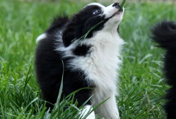 天下归一打一生肖