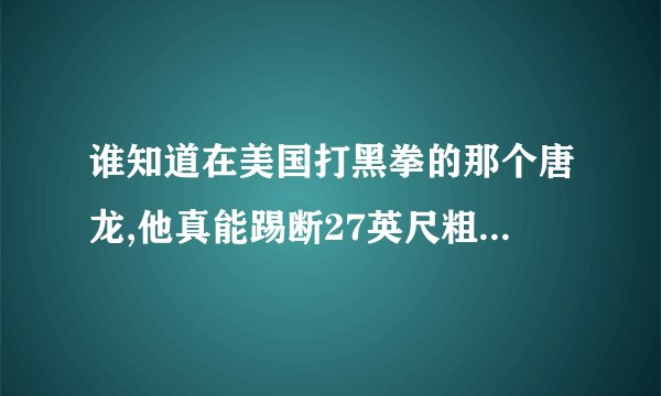 谁知道在美国打黑拳的那个唐龙,他真能踢断27英尺粗的钢柱吗,反坦克炮好象也打不断吧