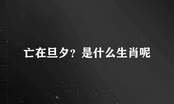 亡在旦夕？是什么生肖呢