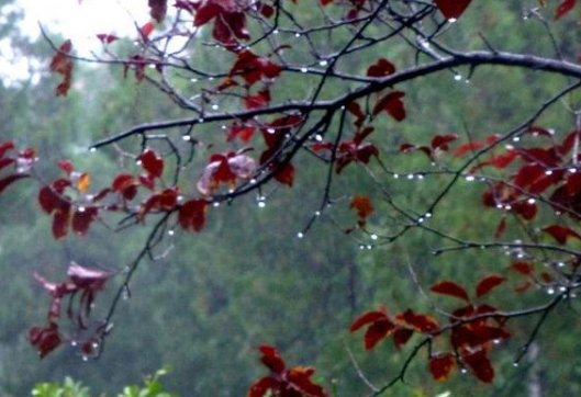 一场秋雨一场寒，十场秋雨要穿棉意思