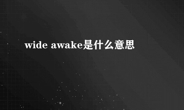 wide awake是什么意思