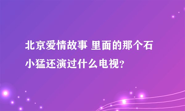 北京爱情故事 里面的那个石小猛还演过什么电视？