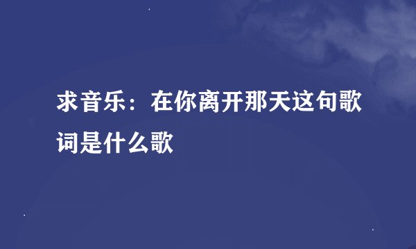 求音乐：在你离开那天这句歌词是什么歌