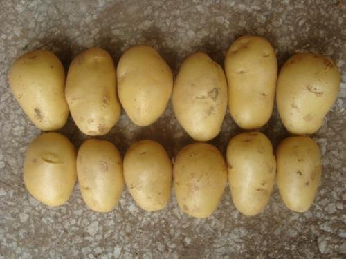 赣州一男子学吃冻土豆后拔掉3颗牙，这名男生为何会突发奇想？