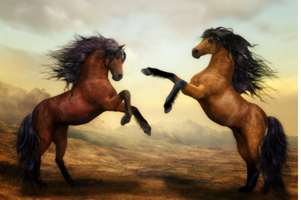 根装叶茂打一生肖