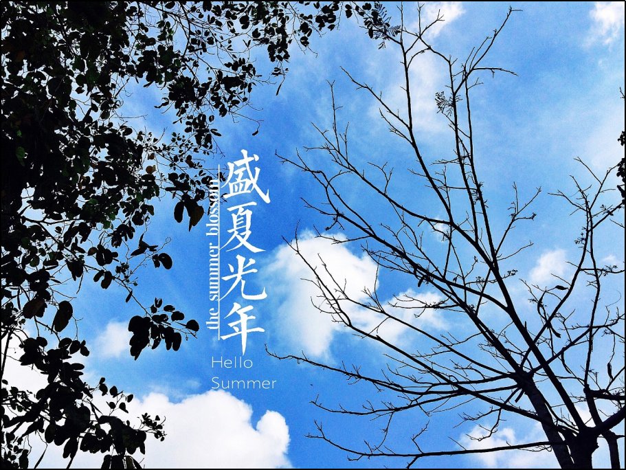 我不转弯我不转弯我不转弯什么歌